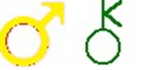(marschiron)