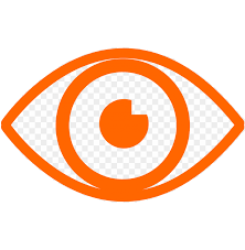 (vision)